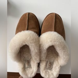 Uggs disquette slippers